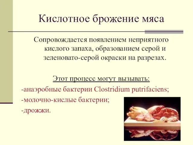 Кислотное брожение мяса Сопровождается появлением неприятного кислого запаха, образованием серой и зеленовато-серой