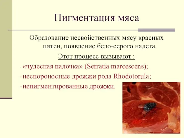 Пигментация мяса Образование несвойственных мясу красных пятен, появление бело-серого налета. Этот процесс