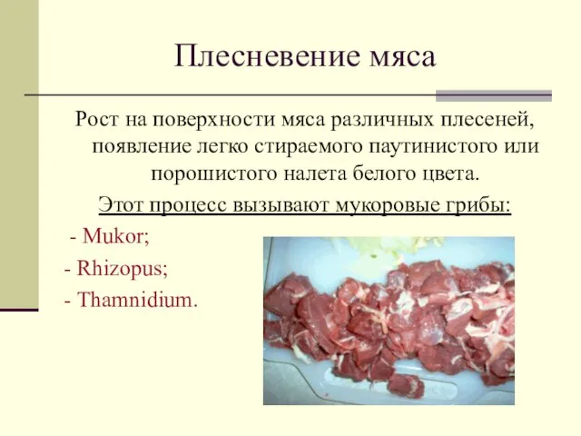 Плесневение мяса Рост на поверхности мяса различных плесеней, появление легко стираемого паутинистого