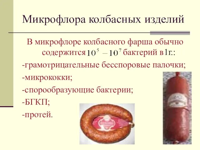 Микрофлора колбасных изделий В микрофлоре колбасного фарша обычно содержится бактерий в1г.: -грамотрицательные