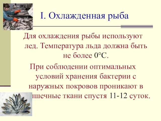 I. Охлажденная рыба Для охлаждения рыбы используют лед. Температура льда должна быть