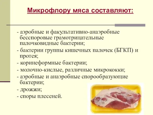 Микрофлору мяса составляют: - аэробные и факультативно-анаэробные бесспоровые грамотрицательные палочковидные бактерии; -