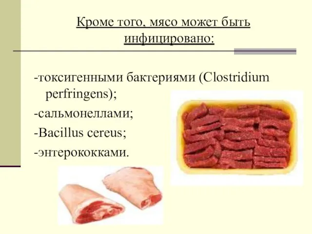 Кроме того, мясо может быть инфицировано: -токсигенными бактериями (Clostridium perfringens); -сальмонеллами; -Bacillus cereus; -энтерококками.