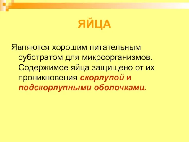 ЯЙЦА Являются хорошим питательным субстратом для микроорганизмов. Содержимое яйца защищено от их