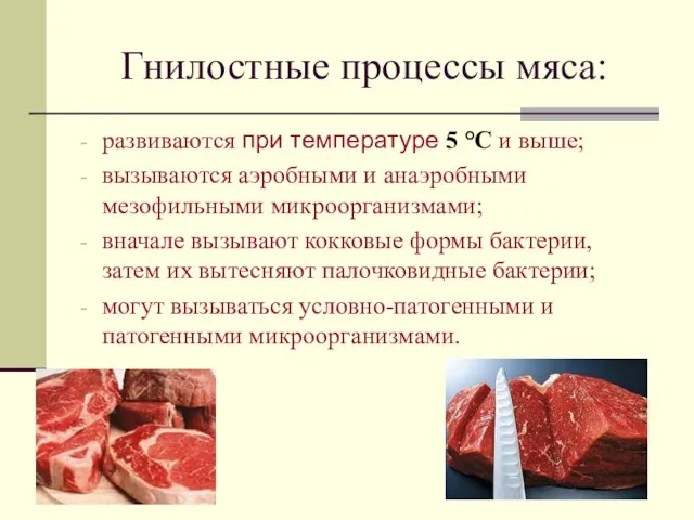 Гнилостные процессы мяса: развиваются при температуре 5 °С и выше; вызываются аэробными