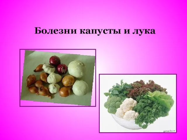 Болезни капусты и лука