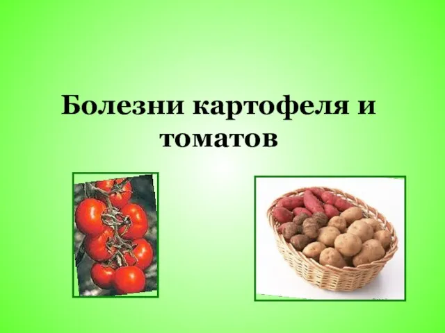 Болезни картофеля и томатов