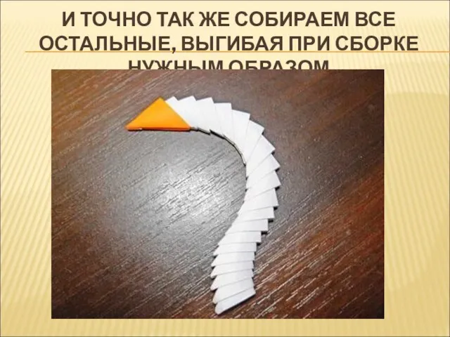 И ТОЧНО ТАК ЖЕ СОБИРАЕМ ВСЕ ОСТАЛЬНЫЕ, ВЫГИБАЯ ПРИ СБОРКЕ НУЖНЫМ ОБРАЗОМ