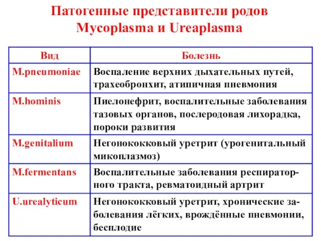 Патогенные представители родов Mycoplasma и Ureaplasma