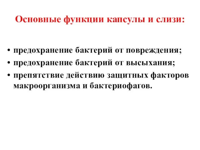 Основные функции капсулы и слизи: предохранение бактерий от повреждения; предохранение бактерий от