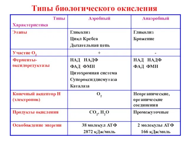 Типы биологического окисления