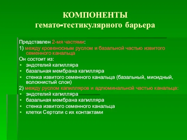 КОМПОНЕНТЫ гемато-тестикулярного барьера Представлен 2-мя частями: 1) между кровеносным руслом и базальной