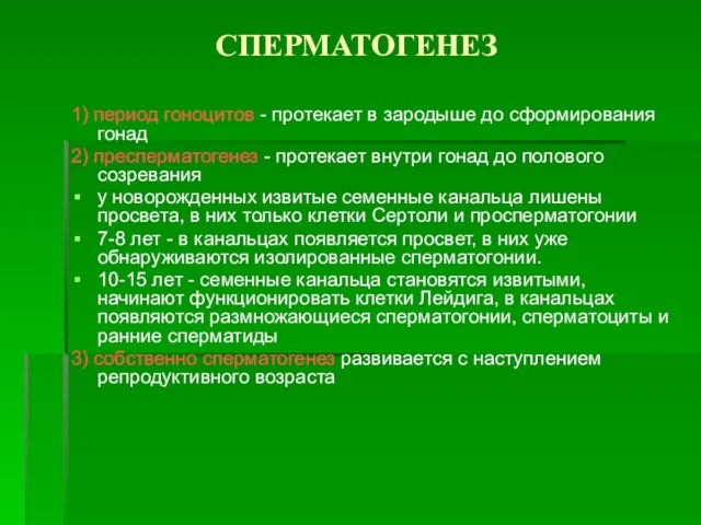 СПЕРМАТОГЕНЕЗ 1) период гоноцитов - протекает в зародыше до сформирования гонад 2)