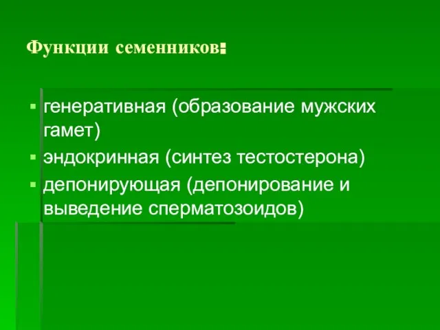 Функции семенников: генеративная (образование мужских гамет) эндокринная (синтез тестостерона) депонирующая (депонирование и выведение сперматозоидов)