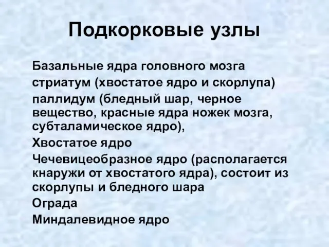 Подкорковые узлы Базальные ядра головного мозга стриатум (хвостатое ядро и скорлупа) паллидум