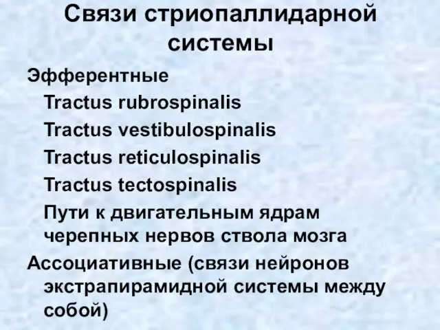 Связи стриопаллидарной системы Эфферентные Tractus rubrospinalis Tractus vestibulospinalis Tractus reticulospinalis Tractus tectospinalis