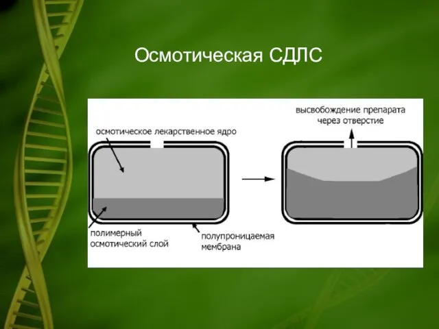 Осмотическая СДЛС