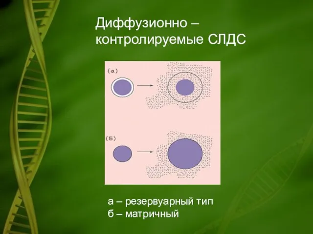 Диффузионно – контролируемые СЛДС а – резервуарный тип б – матричный