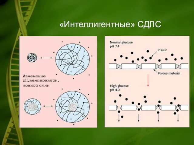 «Интеллигентные» СДЛС