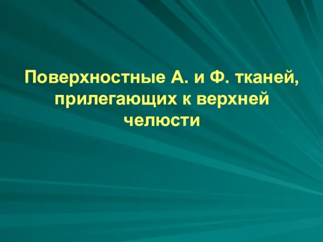 Поверхностные А. и Ф. тканей, прилегающих к верхней челюсти