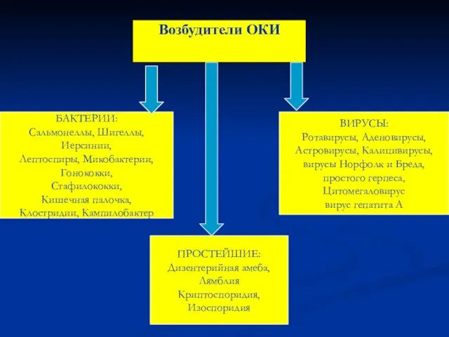 Возбудители ОКИ БАКТЕРИИ: Сальмонеллы, Шигеллы, Иерсинии, Лептоспиры, Микобактерии, Гонококки, Стафилококки, Кишечная палочка,