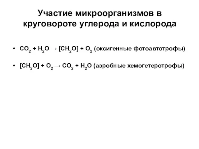 Участие микроорганизмов в круговороте углерода и кислорода CO2 + H2O → [CH2O]