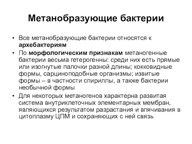 Метанобразующие бактерии Все метанобразующие бактерии относятся к архебактериям По морфологическим признакам метаногенные