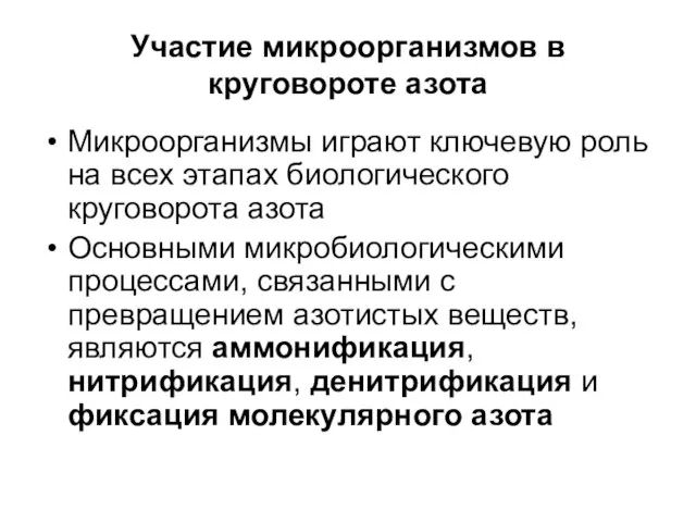 Участие микроорганизмов в круговороте азота Микроорганизмы играют ключевую роль на всех этапах