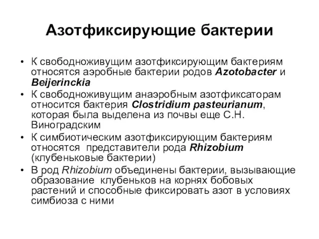 Азотфиксирующие бактерии К свободноживущим азотфиксирующим бактериям относятся аэробные бактерии родов Azotobacter и