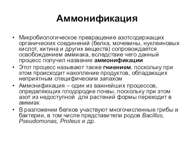 Аммонификация Микробиологическое превращение азотсодержащих органических соединений (белка, мочевины, нуклеиновых кислот, хитина и