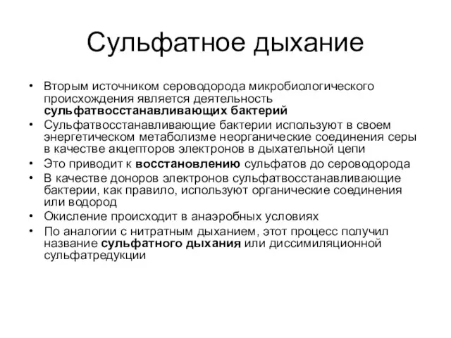 Сульфатное дыхание Вторым источником сероводорода микробиологического происхождения является деятельность сульфатвосстанавливающих бактерий Сульфатвосстанавливающие