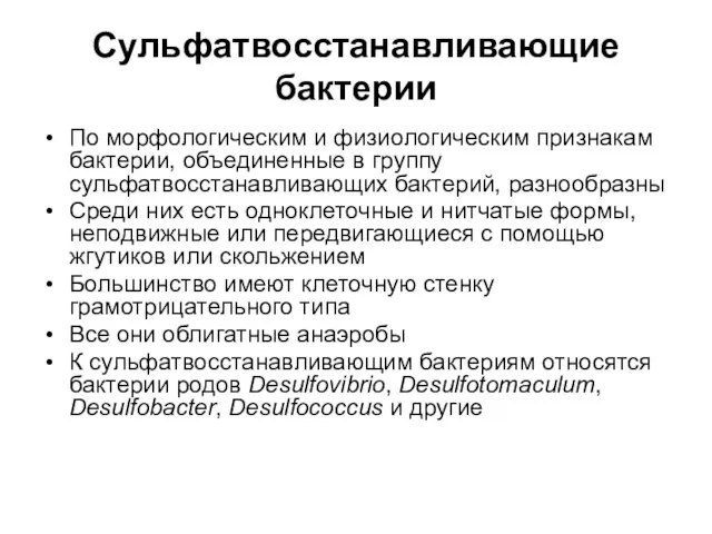 Сульфатвосстанавливающие бактерии По морфологическим и физиологическим признакам бактерии, объединенные в группу сульфатвосстанавливающих