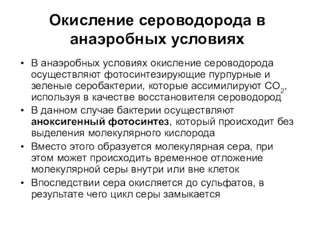 Окисление сероводорода в анаэробных условиях В анаэробных условиях окисление сероводорода осуществляют фотосинтезирующие