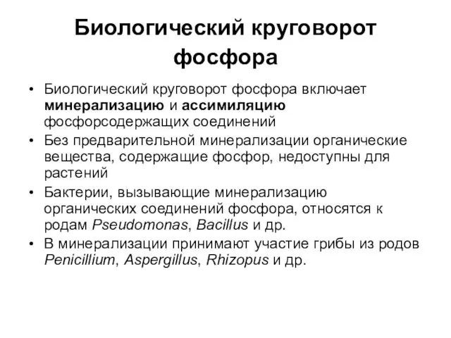 Биологический круговорот фосфора Биологический круговорот фосфора включает минерализацию и ассимиляцию фосфорсодержащих соединений