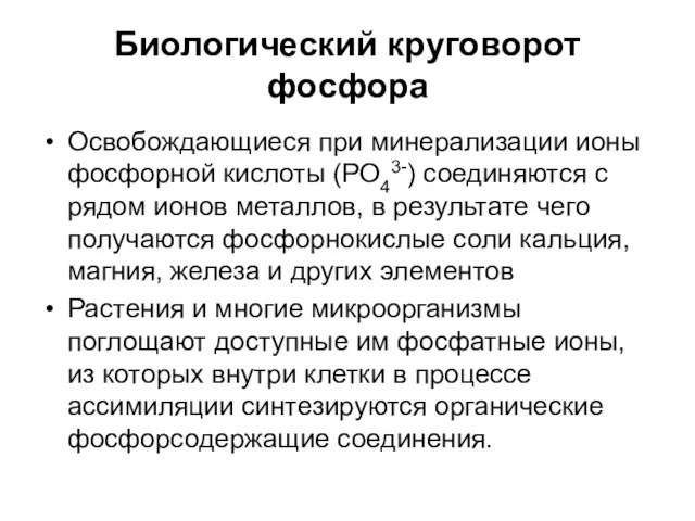 Биологический круговорот фосфора Освобождающиеся при минерализации ионы фосфорной кислоты (РО43-) соединяются с