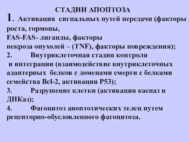 СТАДИИ АПОПТОЗА 1. Активация сигнальных путей передачи (факторы роста, гормоны, FAS-FAS- лиганды,