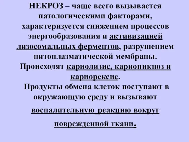 НЕКРОЗ – чаще всего вызывается патологическими факторами, характеризуется снижением процессов энергообразования и