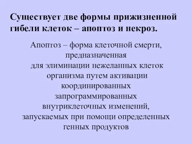 Существует две формы прижизненной гибели клеток – апоптоз и некроз. Апоптоз –