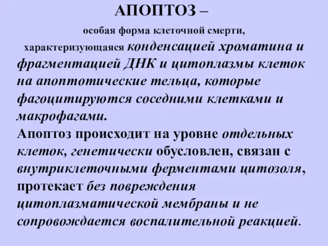 АПОПТОЗ – особая форма клеточной смерти, характеризующаяся конденсацией хроматина и фрагментацией ДНК