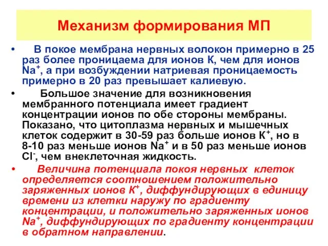 Механизм формирования МП В покое мембрана нервных волокон примерно в 25 раз