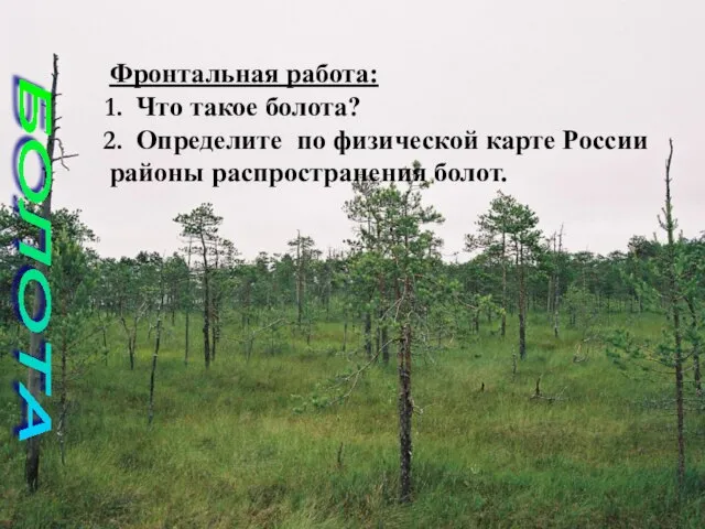 Фронтальная работа: Что такое болота? Определите по физической карте России районы распространения болот. БОЛОТА