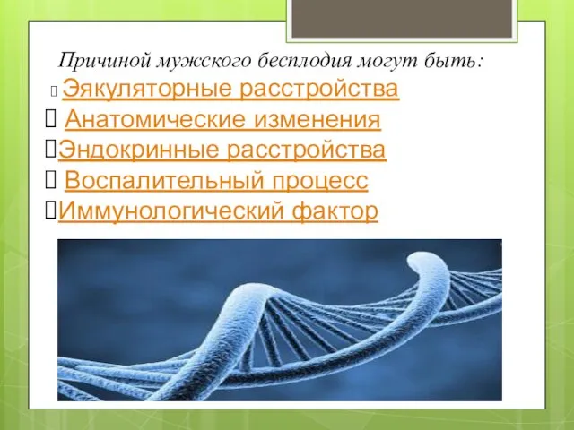 Причиной мужского бесплодия могут быть: Эякуляторные расстройства Анатомические изменения Эндокринные расстройства Воспалительный процесс Иммунологический фактор