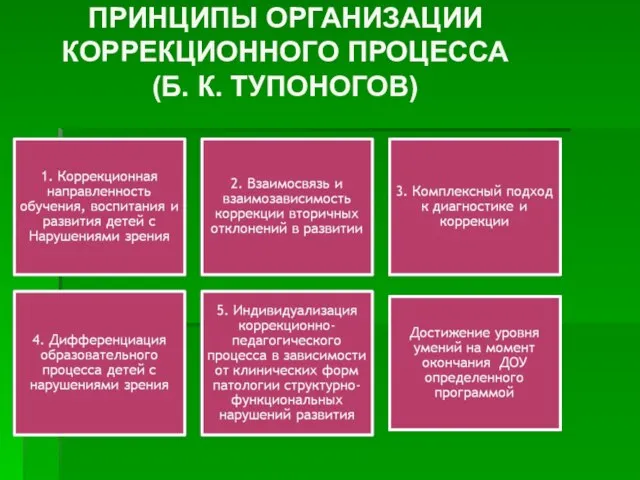 ПРИНЦИПЫ ОРГАНИЗАЦИИ КОРРЕКЦИОННОГО ПРОЦЕССА (Б. К. ТУПОНОГОВ)