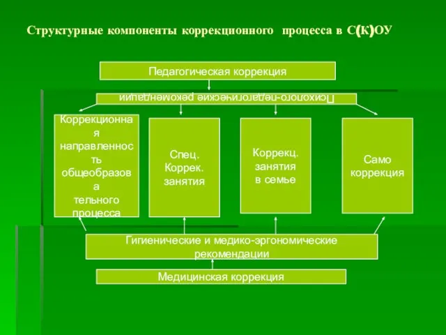 Структурные компоненты коррекционного процесса в С(К)ОУ Педагогическая коррекция Психолого-педагогические рекомендации Коррекционная направленность