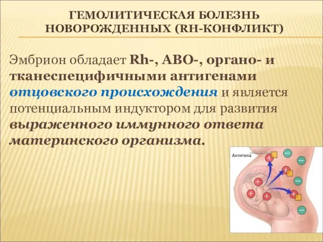 ГЕМОЛИТИЧЕСКАЯ БОЛЕЗНЬ НОВОРОЖДЕННЫХ (RH-КОНФЛИКТ) Эмбрион обладает Rh-, ABО-, органо- и тканеспецифичными антигенами