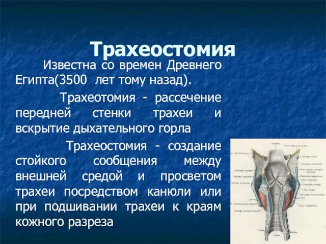 Трахеостомия Известна со времен Древнего Египта(3500 лет тому назад). Трахеотомия - рассечение