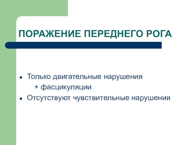 ПОРАЖЕНИЕ ПЕРЕДНЕГО РОГА Только двигательные нарушения + фасцикуляции Отсутствуют чувствительные нарушения