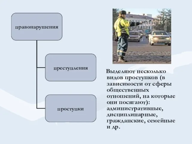 Выделяют несколько видов проступков (в зависимости от сферы общественных отношений, на которые