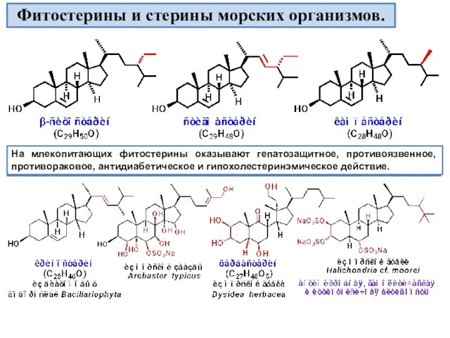 Фитостерины и стерины морских организмов.