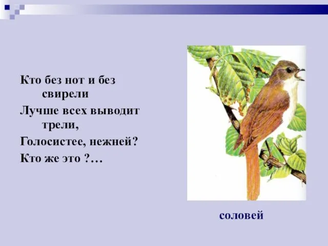 Кто без нот и без свирели Лучше всех выводит трели, Голосистее, нежней?